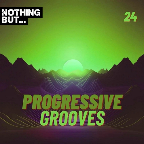 VA - Nothing But... Progressive Grooves Vol 24 [NBPG24]